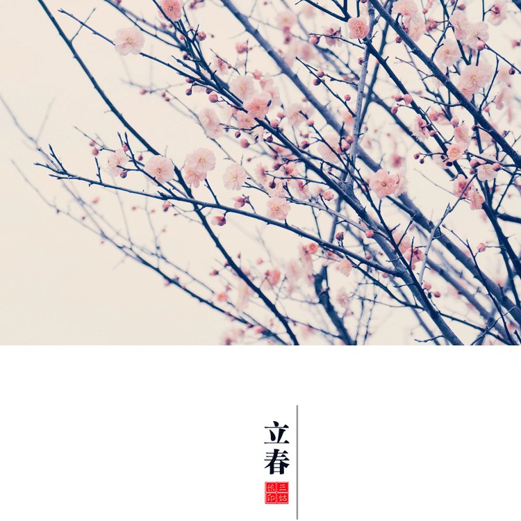 立春节气早安图片,立春美景图