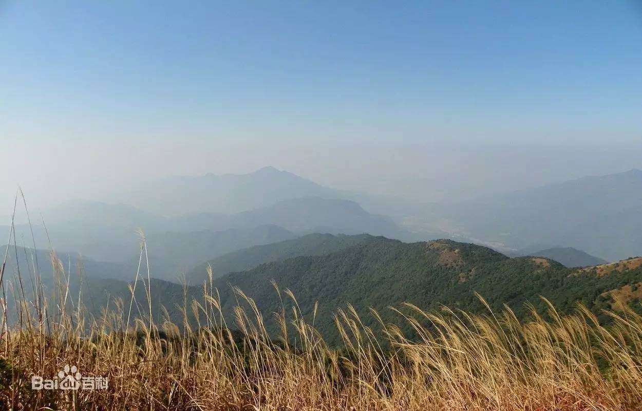 今日关注|您好我叫从化,这是我的最新简历