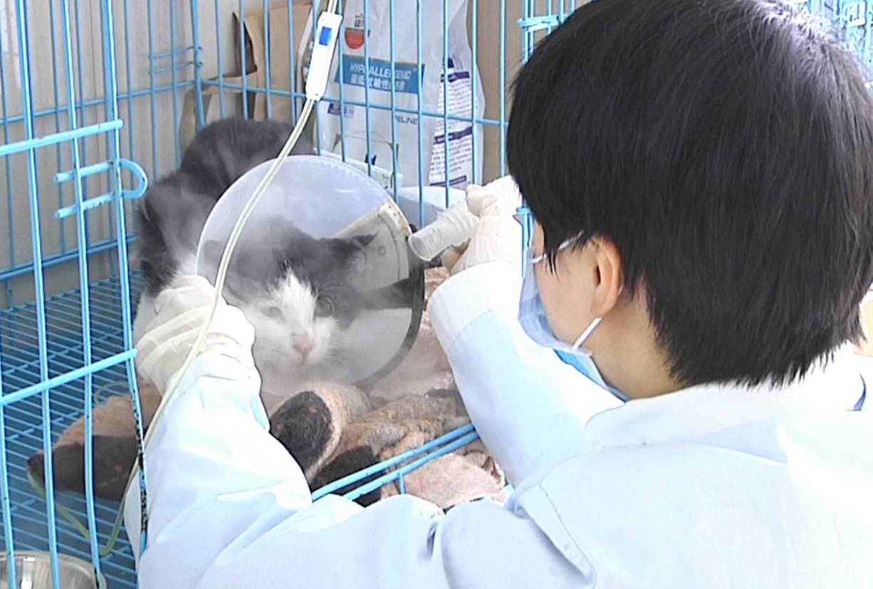 宠物医院的收费到底合不合理,宠物医院天价