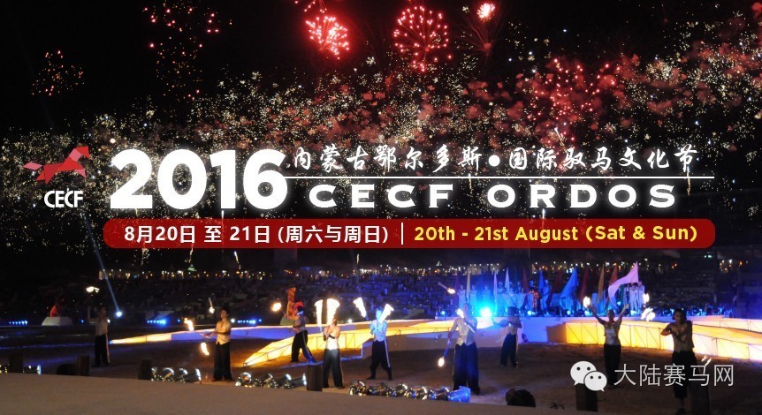 2014马术文化节,鄂尔多斯驭马文化节