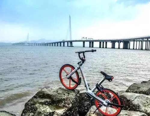 共享单车最新评测,共享单车哪家车质量最好