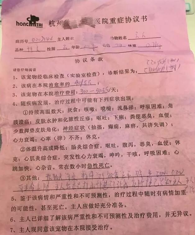 我有犬瘟,但感谢有你!