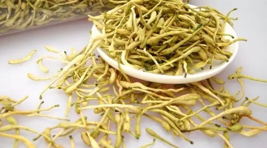 湿气重的喝什么茶护肝护肾,什么茶能护肝祛湿热