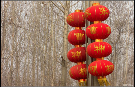 龙抬头为什么要理发,龙抬头理发的寓意是什么