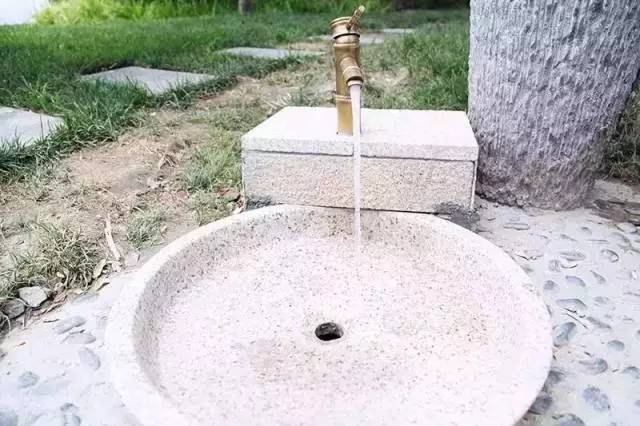 成都有哪些商场值得去,成都可以带宠物玩耍的地方