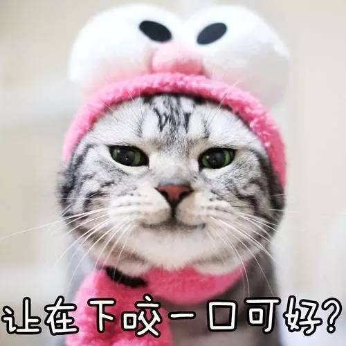 德国原装进口的产品,德国护肝最好的产品