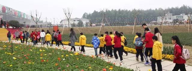 怡园花田官网,怡园花田特惠票