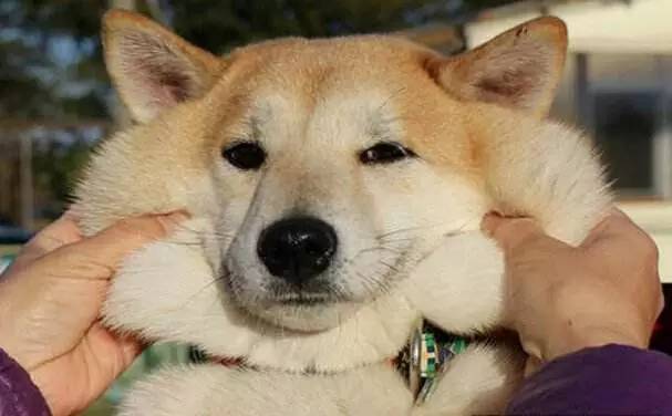 抄送男性友人:不护肤≠MAN