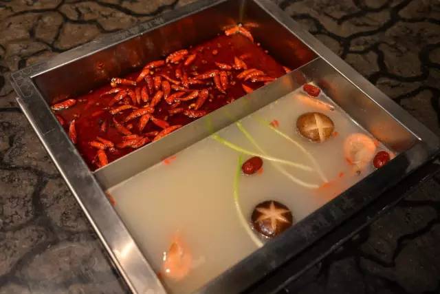 网红豪华坐骑皮皮虾，失踪后再现魔都竟然是在这里，带走它唯一的方法就是……