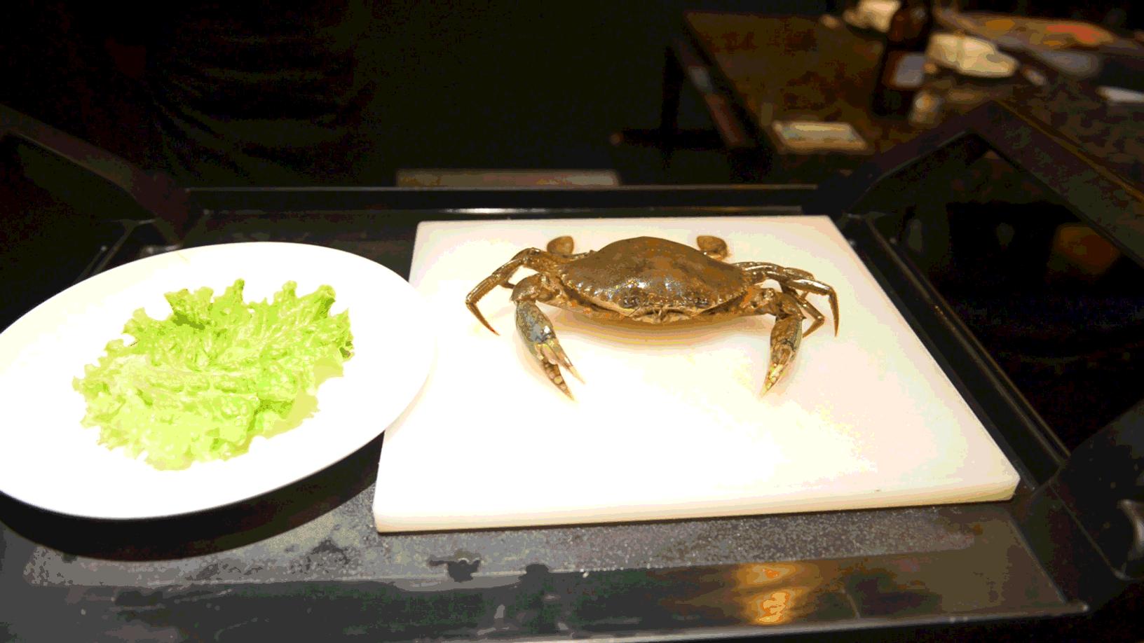 网红豪华坐骑皮皮虾，失踪后再现魔都竟然是在这里，带走它唯一的方法就是……