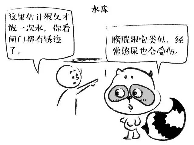 膀胱三角区增厚常见吗,膀胱健康的十大误区