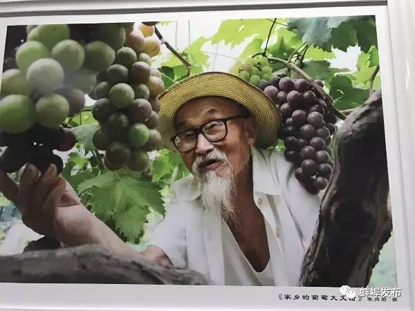 大蚌埠的风景也很美,行走山水之间美丽的自然景色