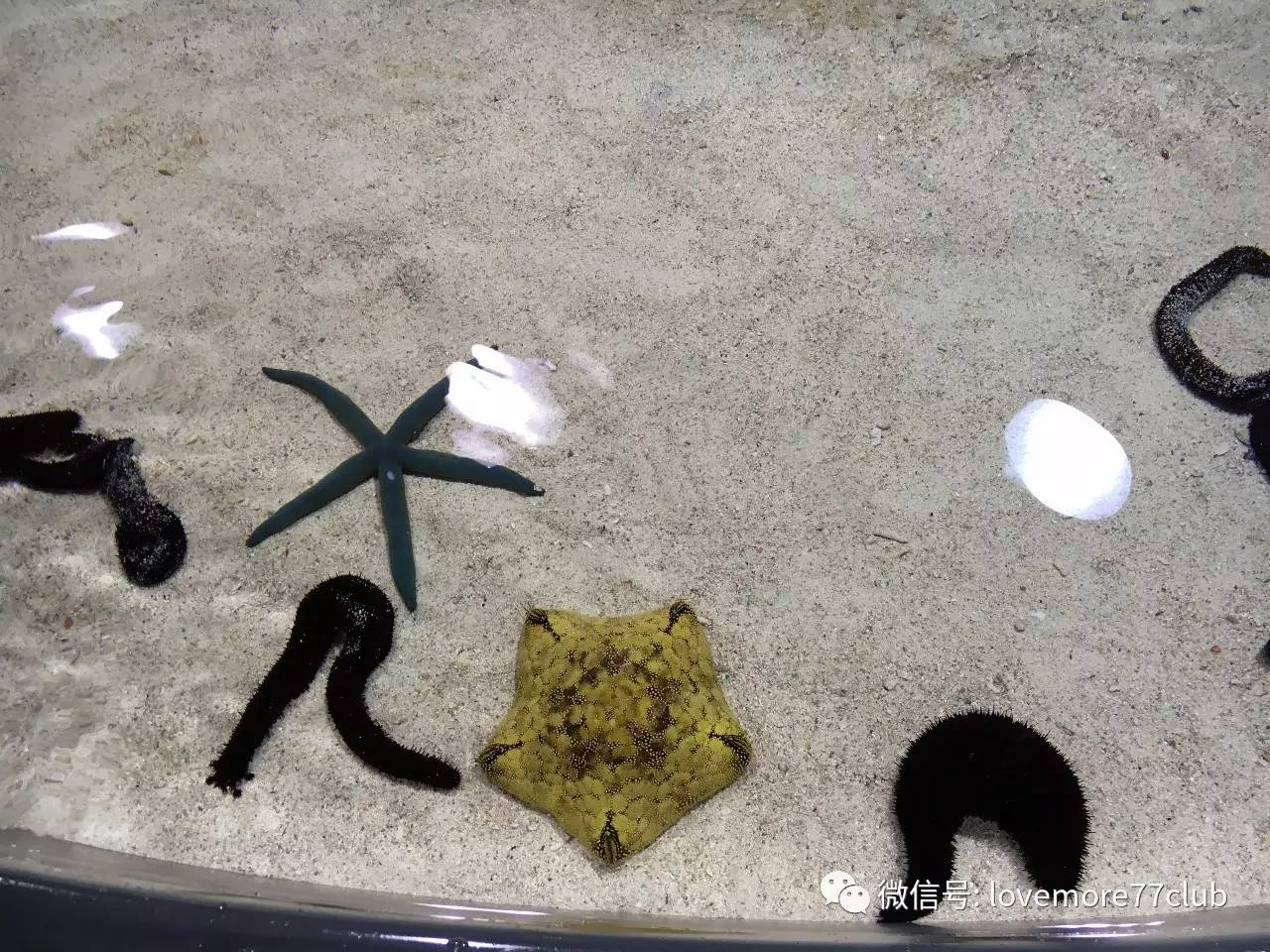 冲绳石垣岛亲子游攻略,冲绳亲子游最佳路线图冬天