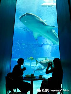 冲绳石垣岛亲子游攻略,冲绳亲子游最佳路线图冬天