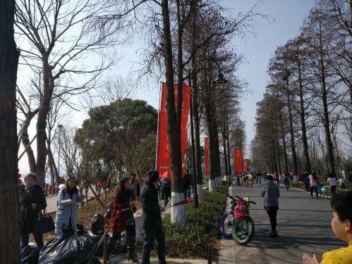 华为p10处理器麒麟960升级鸿蒙,华为p10搭载了海思麒麟960处理器