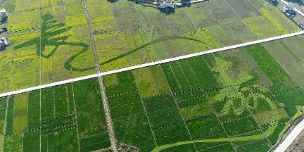 爱的供养啥意思,爱的供养的寓意是什么意思