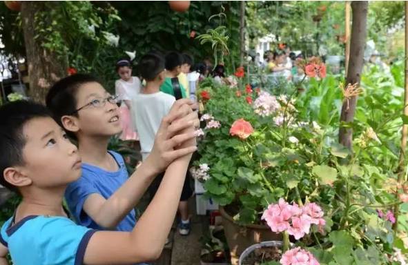 「美丽开发区」最美校园︱西苑小学:多彩润心静听花开