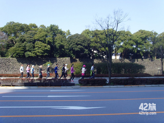 一场马拉松就是一座城市的深度游,记录跑马拉松比赛走过的城市