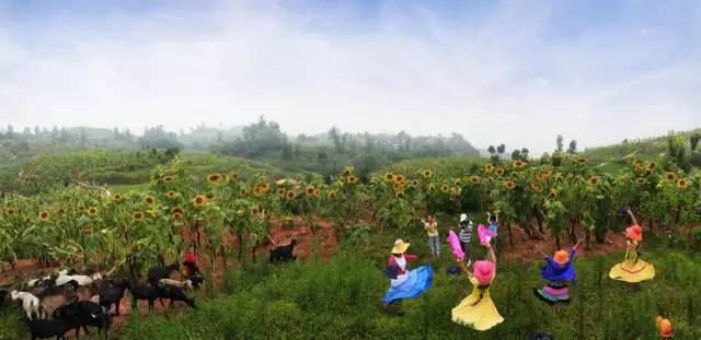 渝北哪个区发展最好,渝北人很富吗