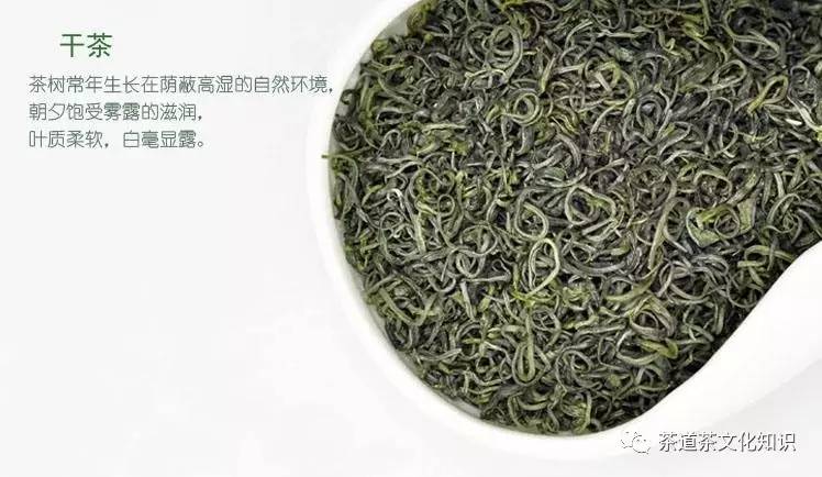 率土之滨庐山云雾茶,庐山云雾茶功效作用