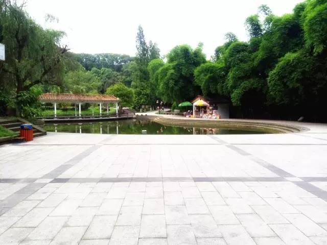 宜宾柏溪城中央健身房私教价格,宜宾最高端的健身房