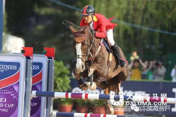 中国马业排名前十名,中国马业十大风云人物