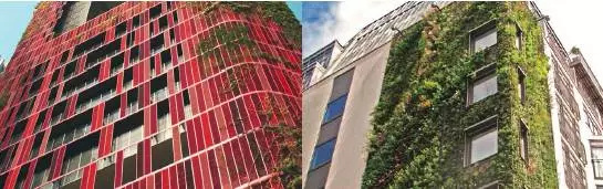 华住酒店未来发展趋势,华住季琦最新消息