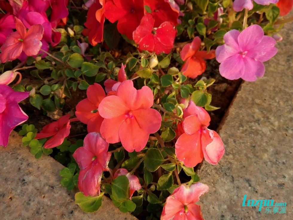 不单有颜值更还有快充魅蓝5s体验评测