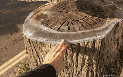 张家口电视台1套新闻回看,张家口新闻手机台