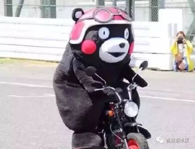 驾校降价,驾校降价通知公告