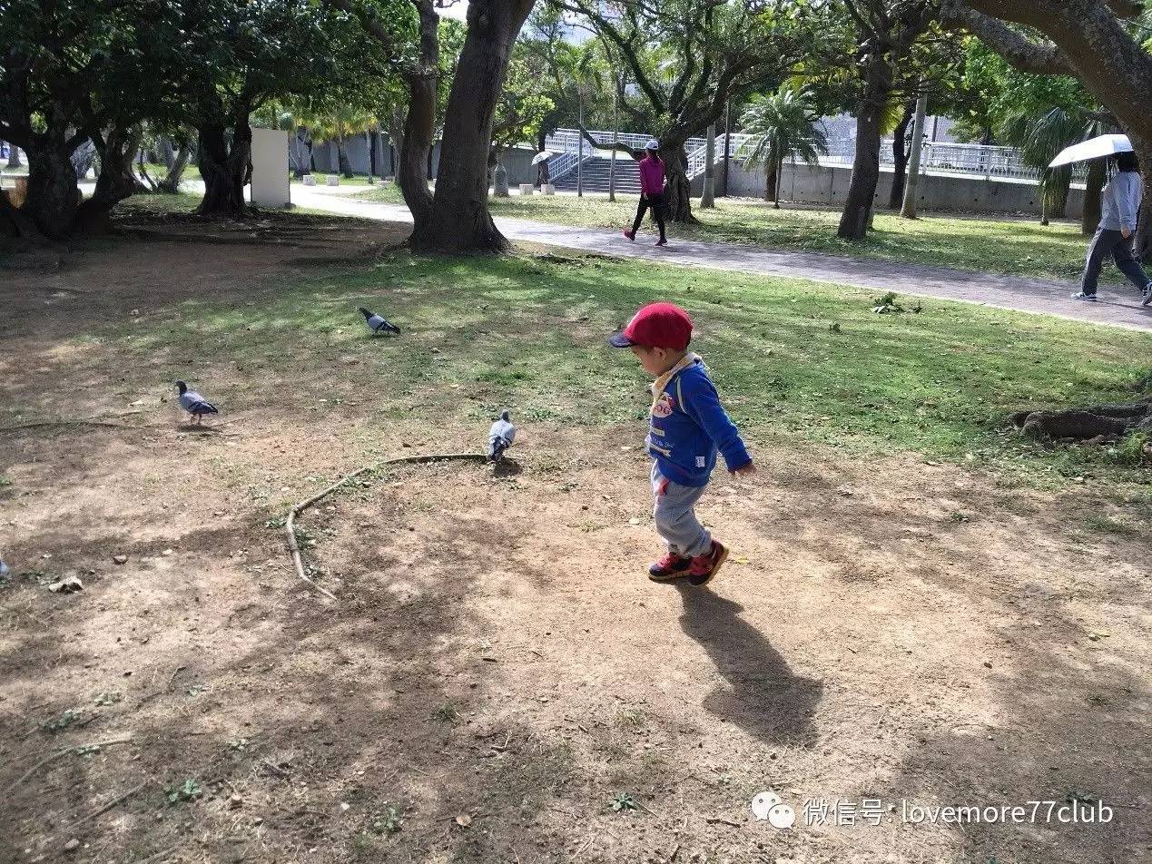 冲绳石垣岛亲子游攻略,冲绳亲子游最佳路线图冬天