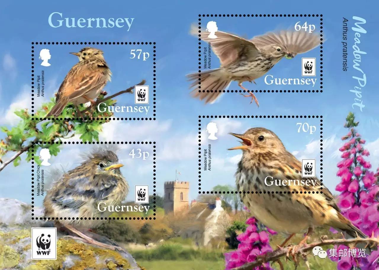 希拉里邮寄邮件,希拉里邮件门报道