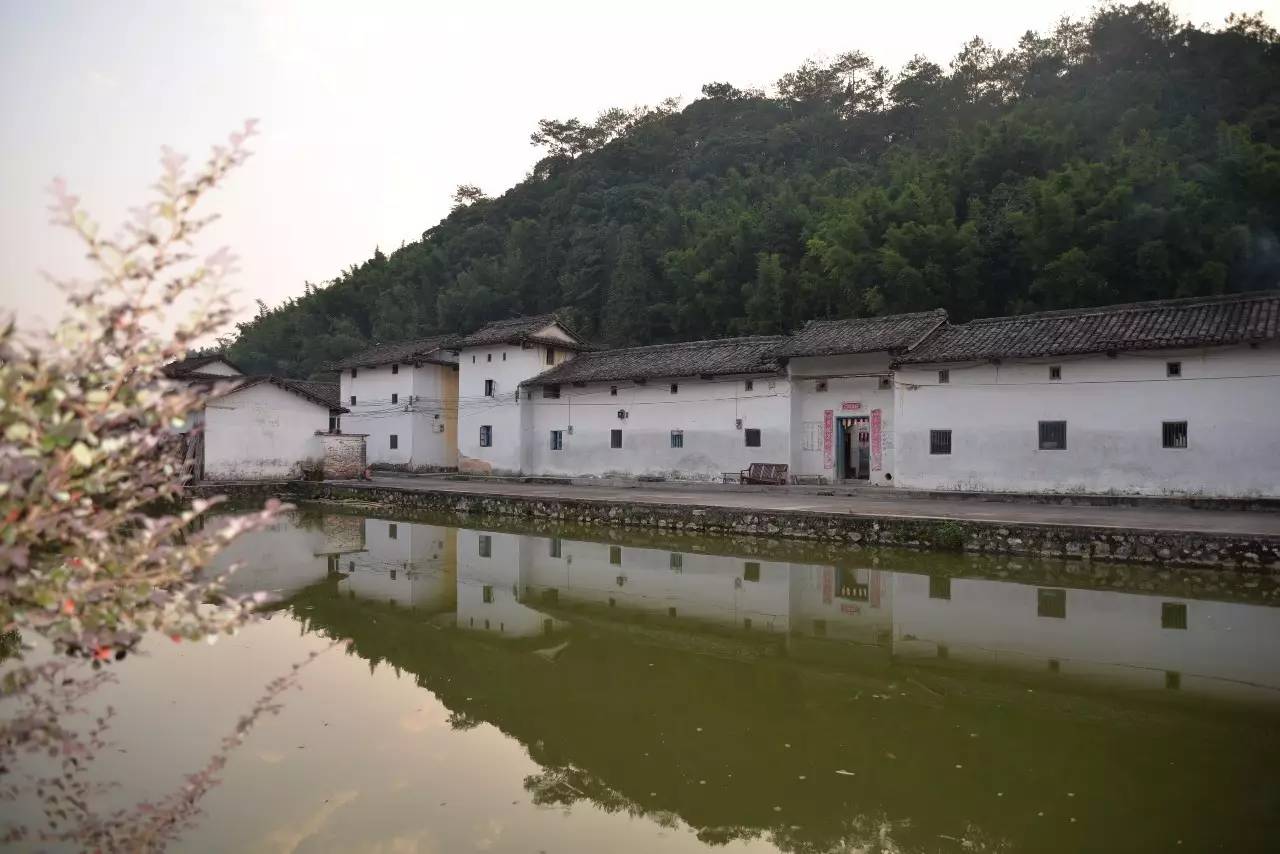 今日关注|您好我叫从化,这是我的最新简历