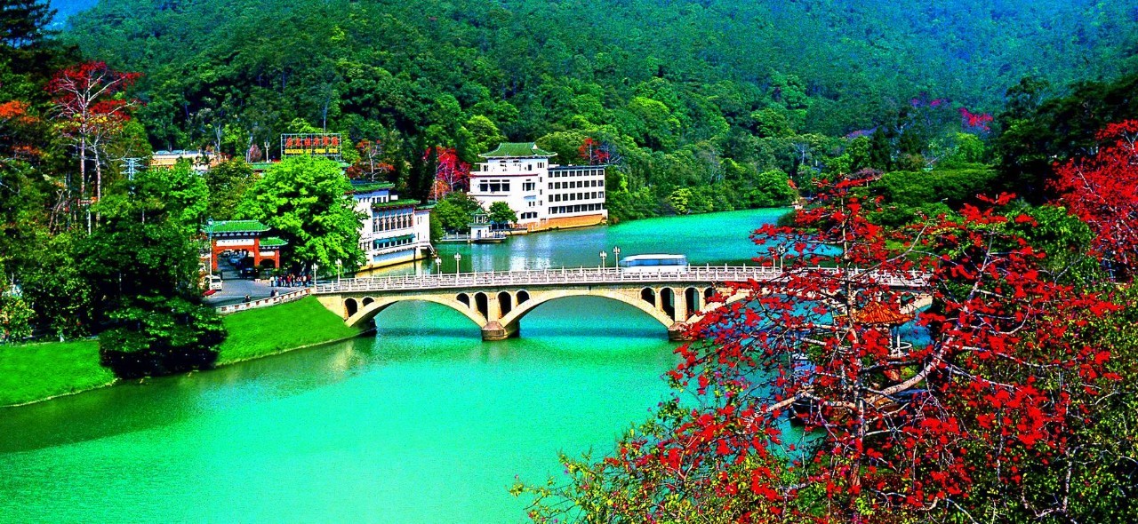 今日关注|您好我叫从化,这是我的最新简历