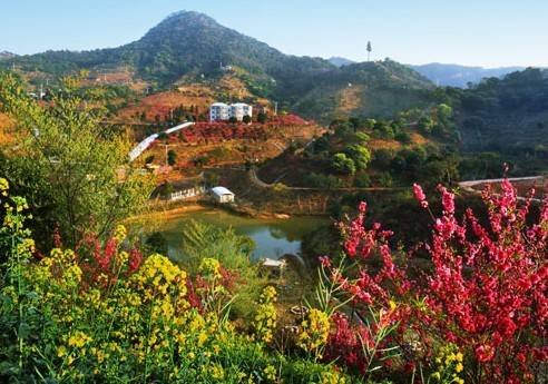 今日关注|您好我叫从化,这是我的最新简历