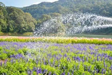 今日关注|您好我叫从化,这是我的最新简历