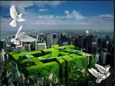 今日关注|您好我叫从化,这是我的最新简历