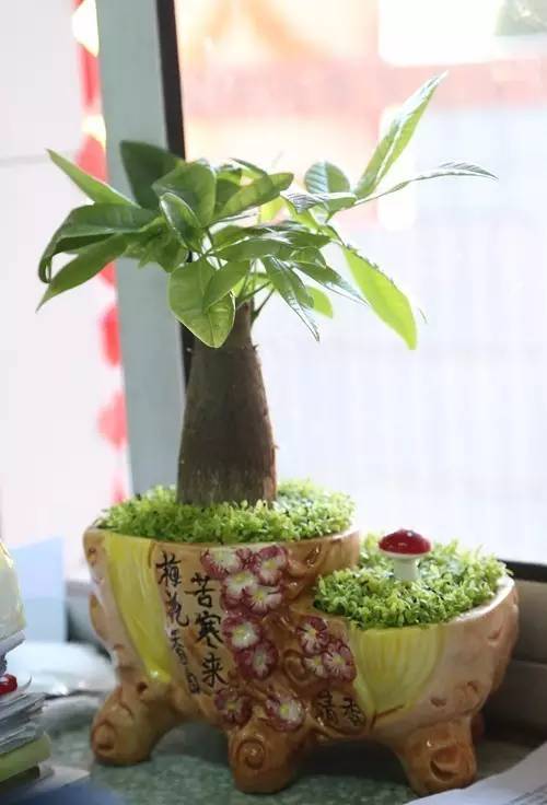 小学生开学教室布置,开学布置教室黑板报