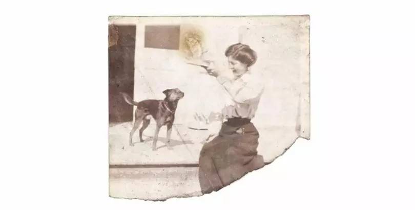 一封来自深海的情书,一封来自雪山的情书