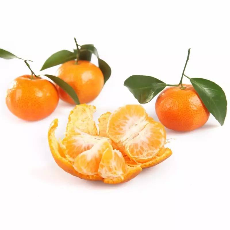 今日关注|您好我叫从化,这是我的最新简历