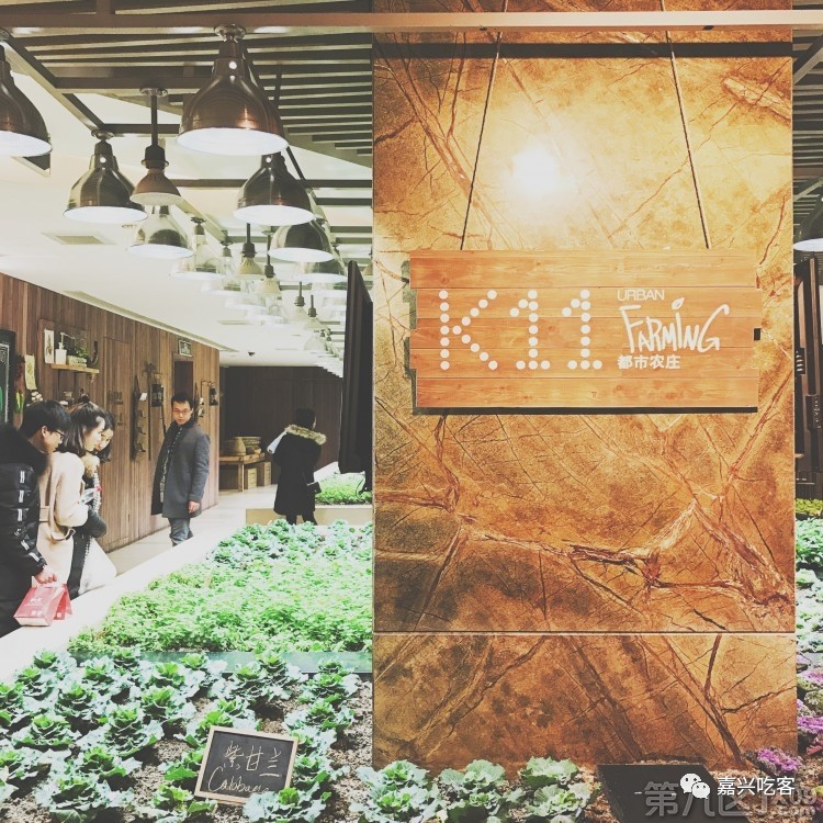 什么?据说不到五十元人民币就能来回韩国?我信了!NO.505