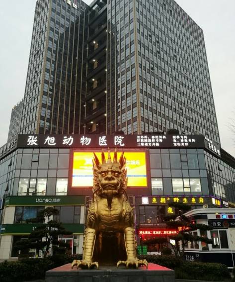 宠物医院的收费到底合不合理,宠物医院天价