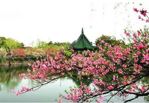 苏州园区赏梅攻略,何时去苏州赏梅最佳