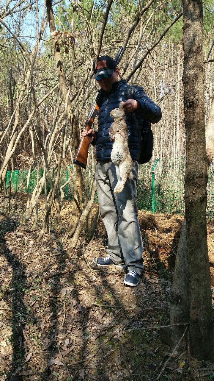 瀹炲脊鐙╃寧鏃呮父,鍥藉唴鐙╃寧涔嬫梾