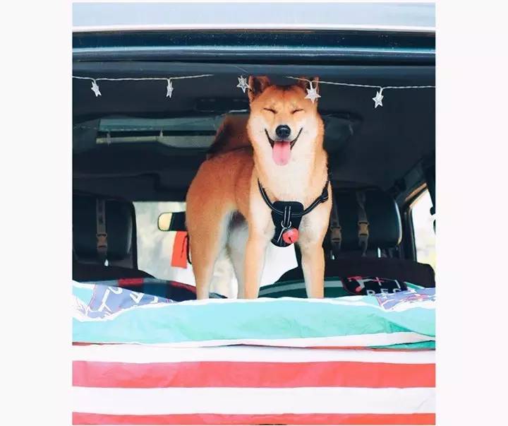 我素质差,我不骂你是因为我素质比你高