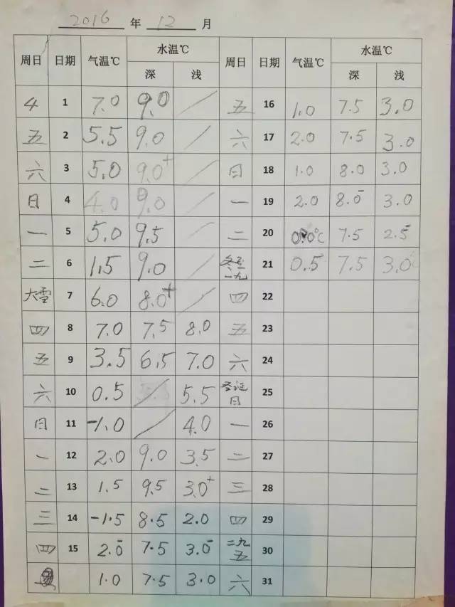 清华冬泳,清华大学生室外冬泳