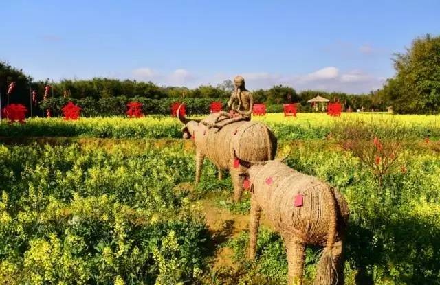 今日关注|您好我叫从化,这是我的最新简历
