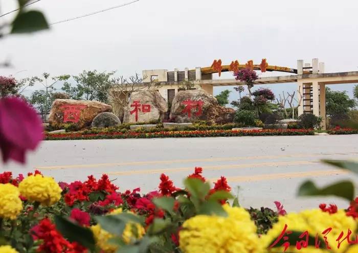 今日关注|您好我叫从化,这是我的最新简历