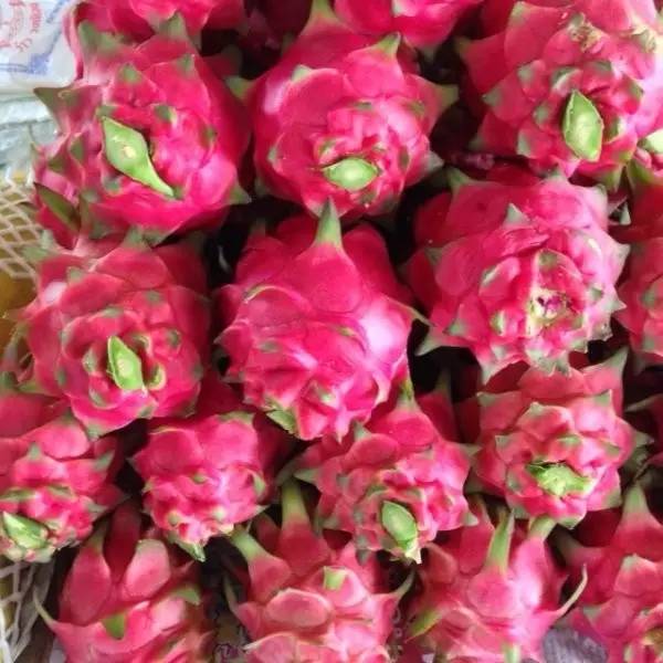 今日关注|您好我叫从化,这是我的最新简历