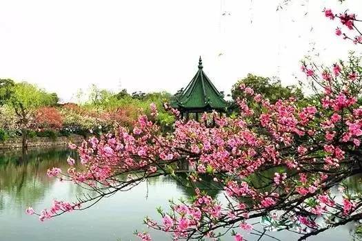 苏州园区赏梅攻略,何时去苏州赏梅最佳